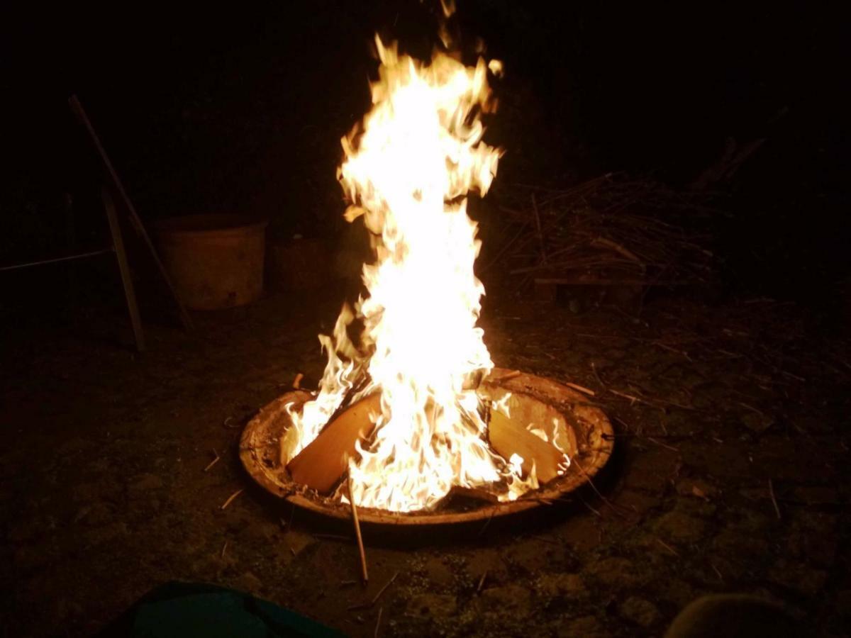 Gaestezimmer Mit Garten In Fischeln Κρέφελντ Εξωτερικό φωτογραφία